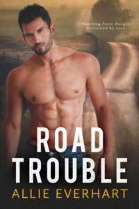 Road Trouble is a romantic suspense novel by Allie Everhart.